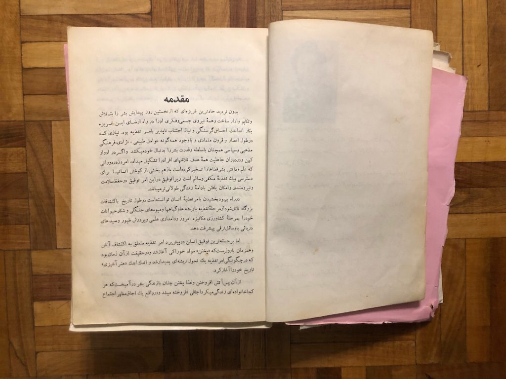 مقدمه کتاب هنر آشپزی رزا منتظمی